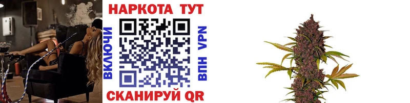 Купить наркотики сайты Волжский Псилоцибиновые грибы Alpha-PVP Гашиш Марихуана