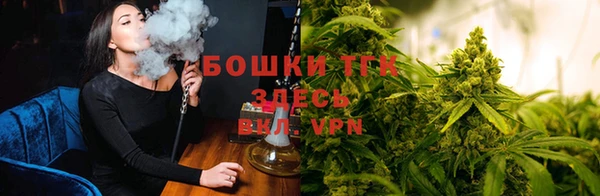 шишки Аркадак
