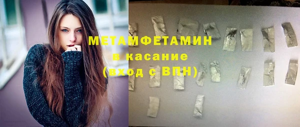 шишки Аркадак