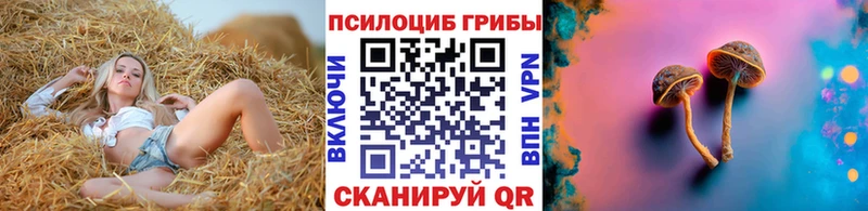 Псилоцибиновые грибы Psilocybe закладки Волжский